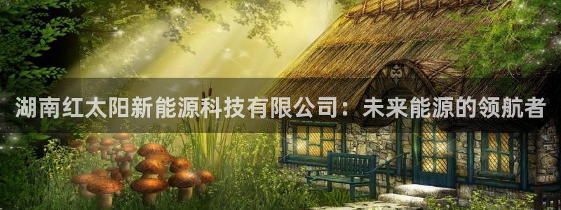 新宝gg 创造