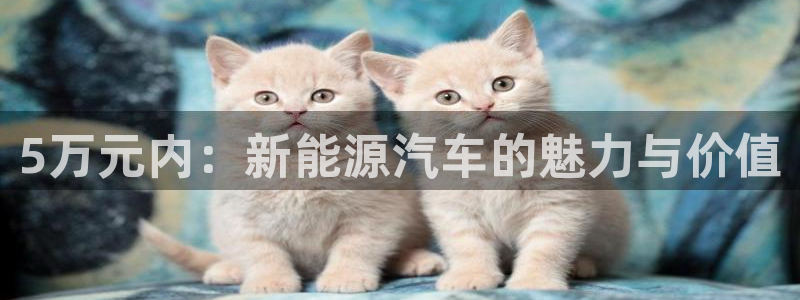 新宝gg登陆