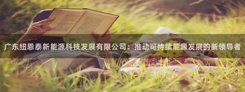新宝娱gg：广东纽恩泰新能源科技发展有限