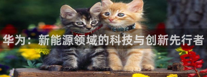 新宝gg真的能赚钱么：华为：新能源领域的
