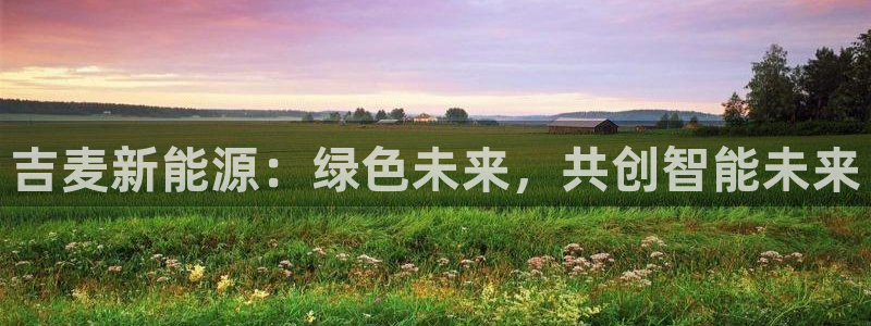 新宝gg 平台怎么样：吉麦新能源：绿色未