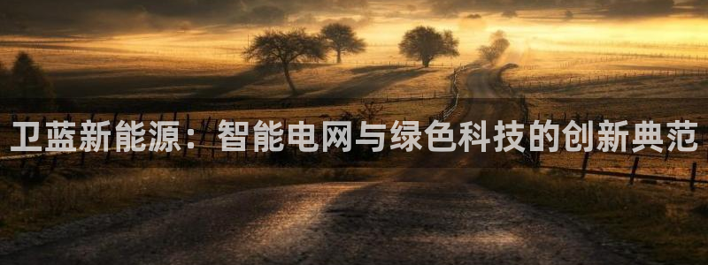 新宝GG嗽78778：卫蓝新能源：智能电