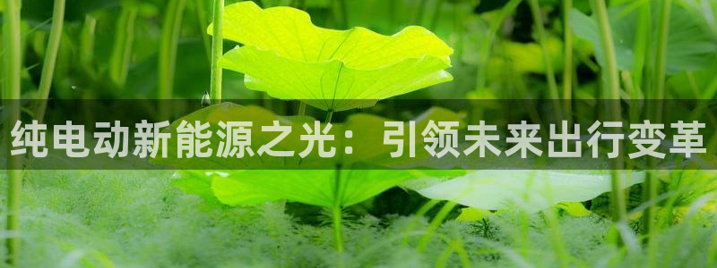 新宝GG 扣.772332：纯电动新能源