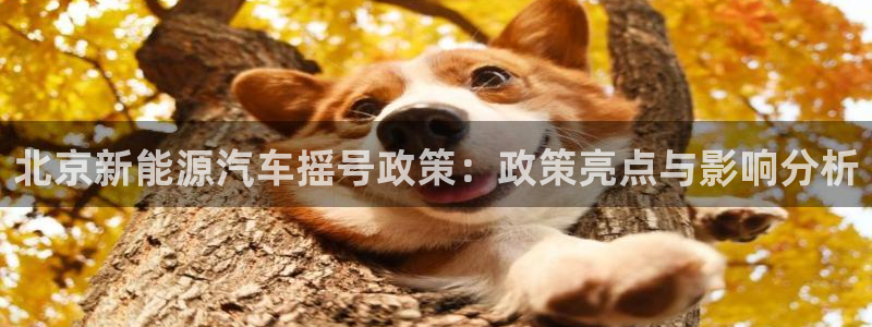 新宝gg官方主管：北京新能源汽车摇号政策