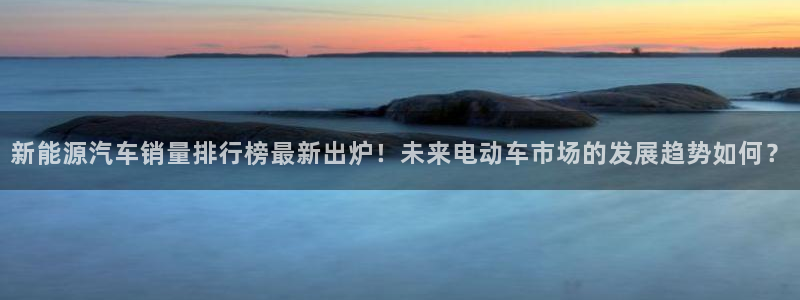 新宝gg平台怎么样：新能源汽车销量排行榜